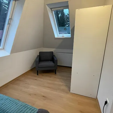 Waldzauber Schneverdingen