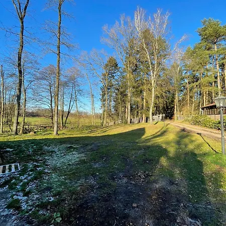 Waldzauber * Schneverdingen